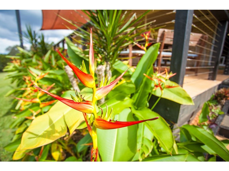 18-20 Semilion Court, Morayfield QLD 4506