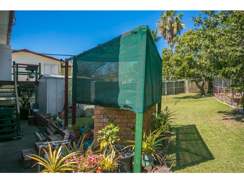 41 Kippa Street, Kippa-ring QLD 4021