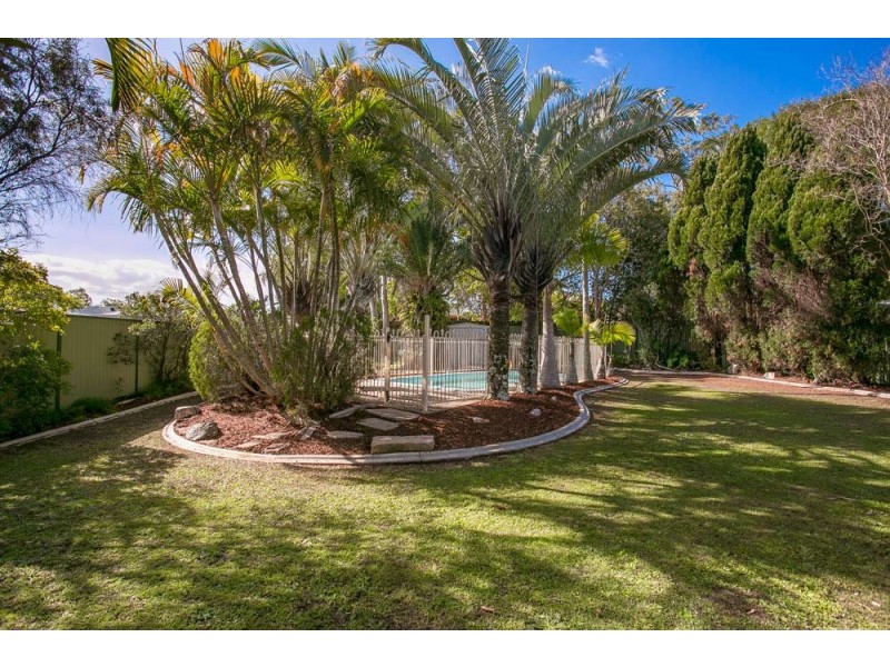 18 Marigold Street, Margate QLD 4019