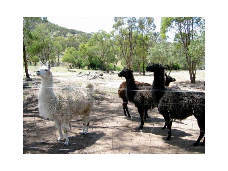 120 Kullaroo Road, Clear Range NSW 2620