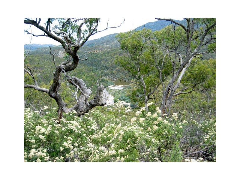 120 Kullaroo Road, Clear Range NSW 2620