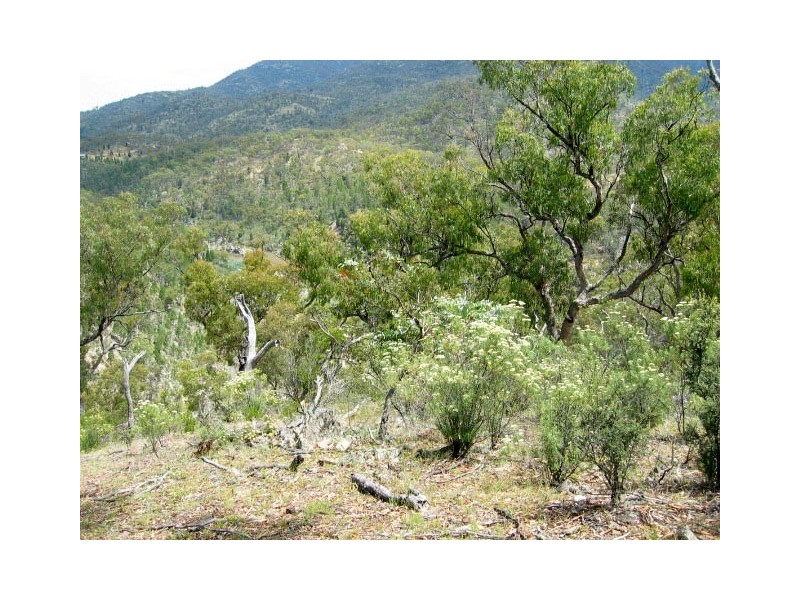 120 Kullaroo Road, Clear Range NSW 2620