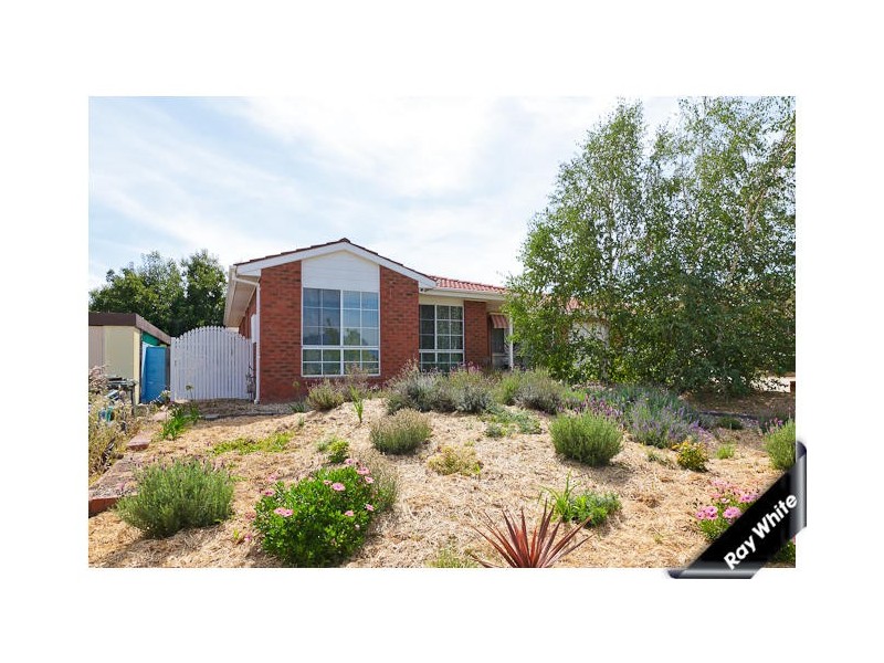 45 Pocket Avenue, Banks ACT 2906