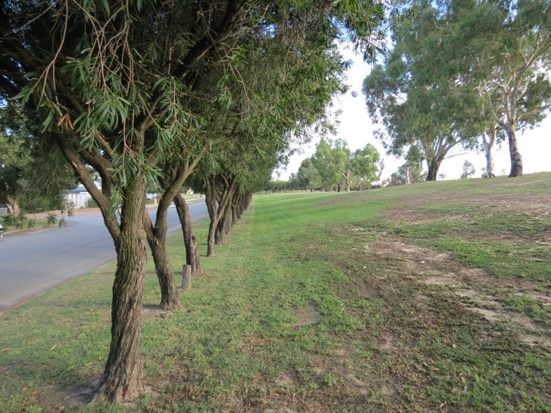 21 Dundee Street, Leeming WA 6149