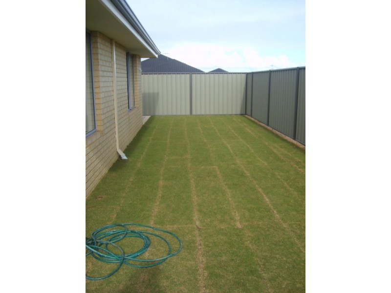 10  Kalannie Gardens – LEASED !! MORE WANTED!!, Baldivis WA 6171