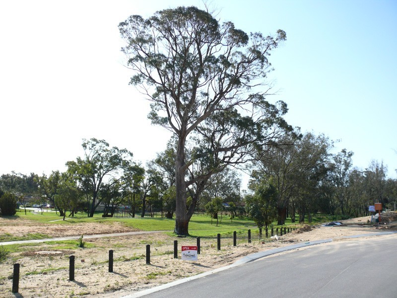 15 Ringwood Loop, Wellard WA 6170