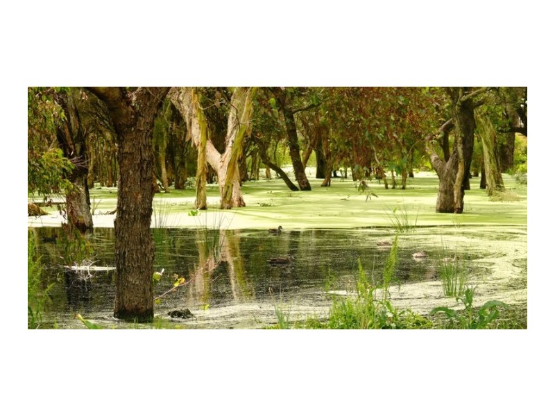 408 Wentworth Parade, Success WA 6164