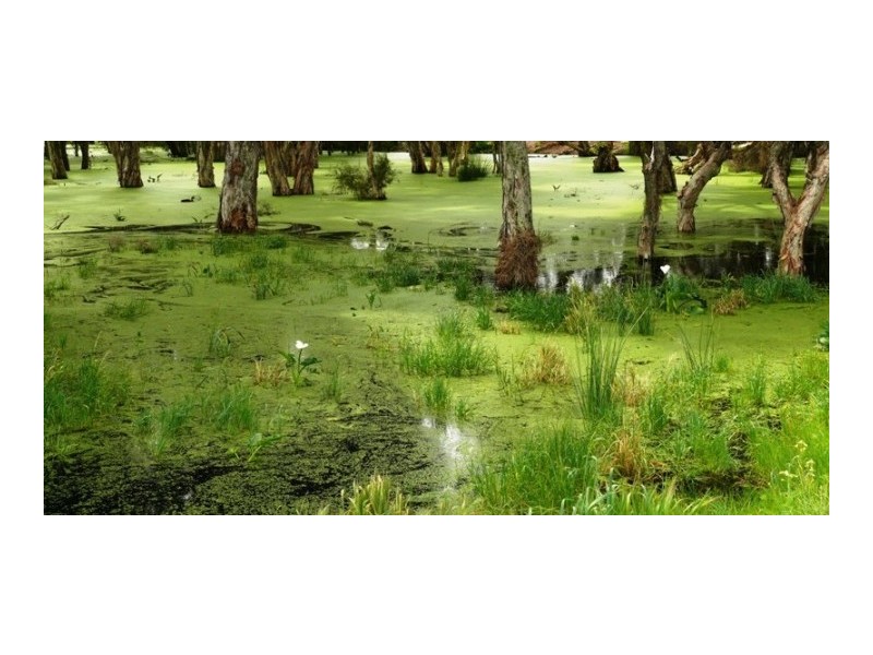 408 Wentworth Parade, Success WA 6164