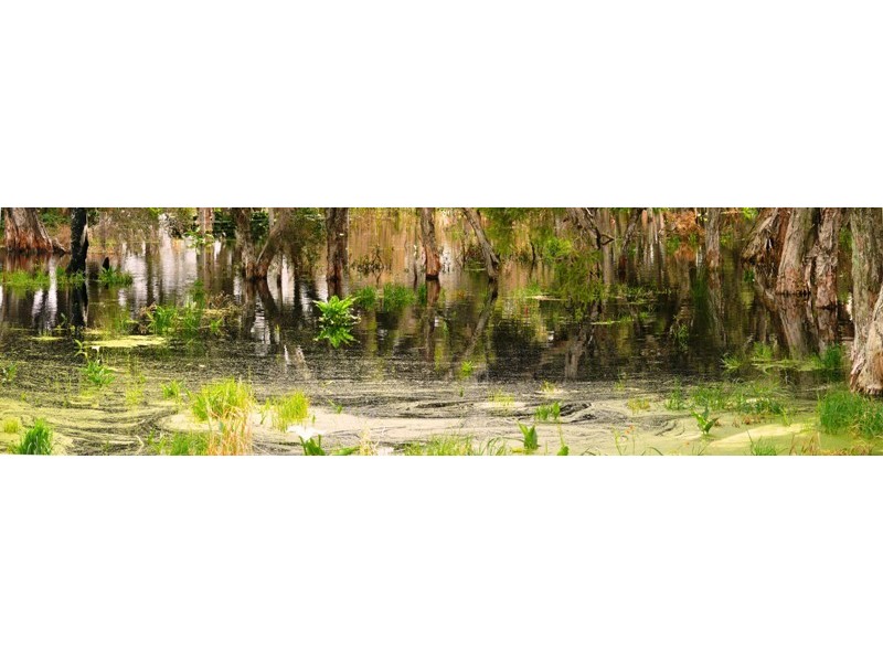 408 Wentworth Parade, Success WA 6164