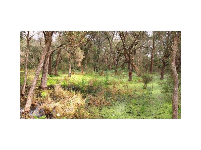 408 Wentworth Parade, Success WA 6164