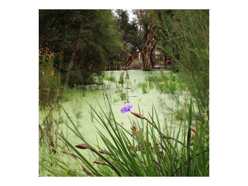 408 Wentworth Parade, Success WA 6164