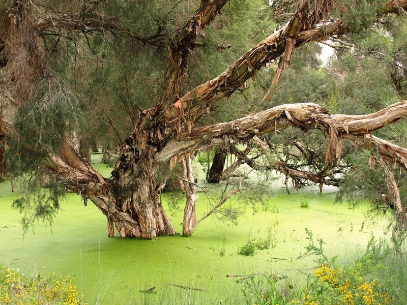 408 Wentworth Parade, Success WA 6164