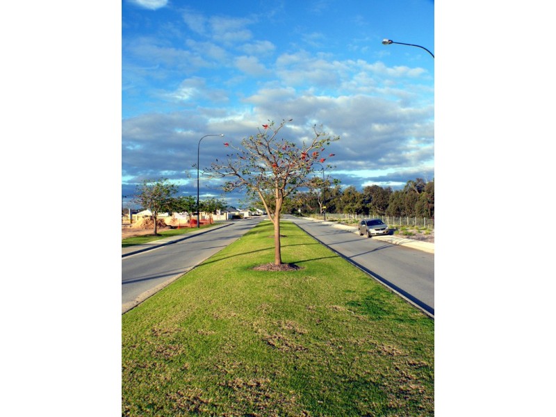 6 Neroli Link, Atwell WA 6164