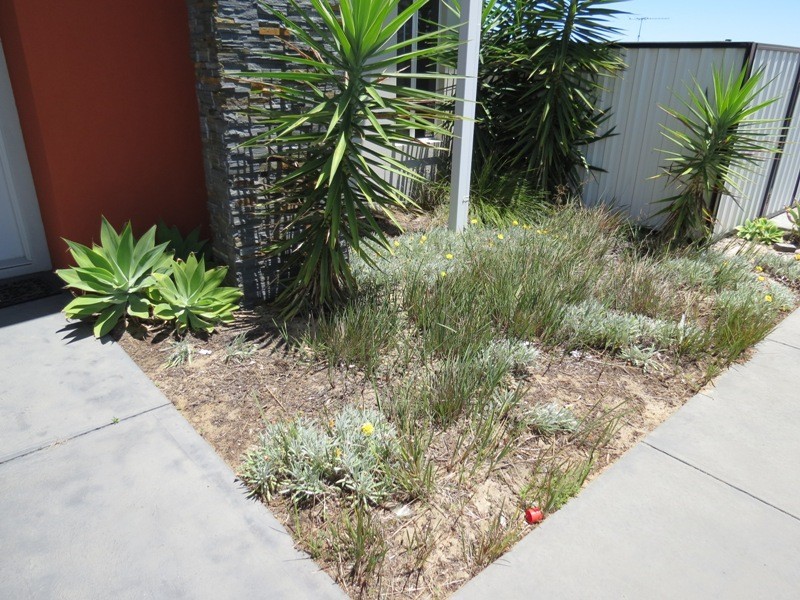 14 BlackSwan Rise, Beeliar WA 6164