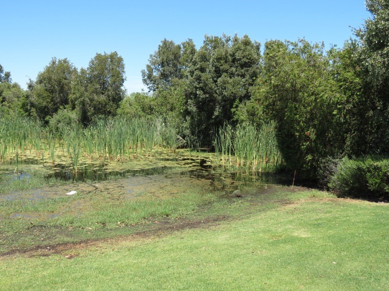 25 Jakovich Circuit, Atwell WA 6164