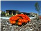 84 Princeton Cct, Aubin Grove WA 6164