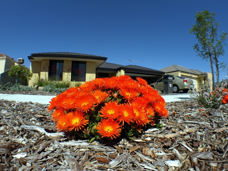 84 Princeton Cct, Aubin Grove WA 6164