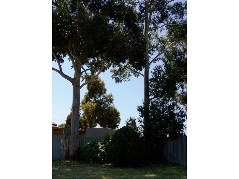 9 Rainbow ct, Gosnells WA 6110