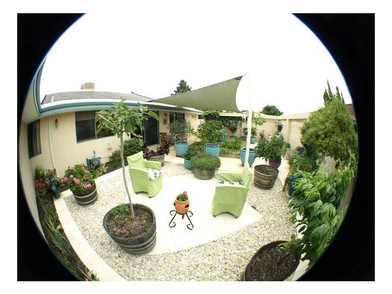 3 Haring Green, Atwell WA 6164