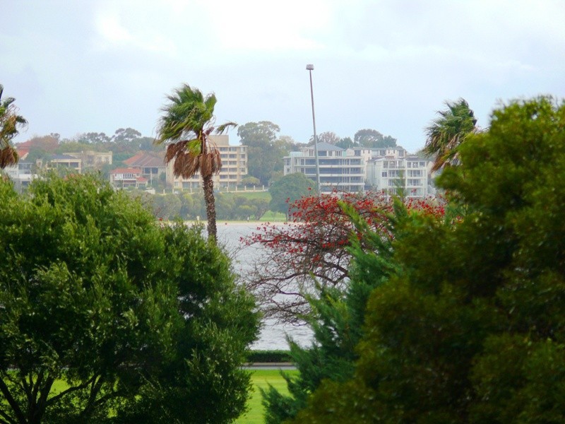 3/29  Hill Street, Perth WA 6000