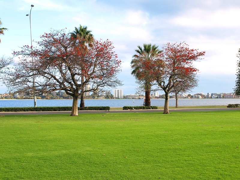 3/29  Hill Street, Perth WA 6000