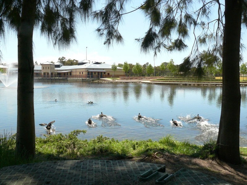 11 Catspaw Avenue, Beeliar WA 6164