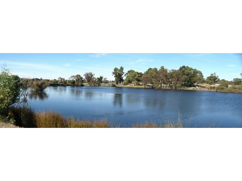 6 Frankenia Turn, Success WA 6164