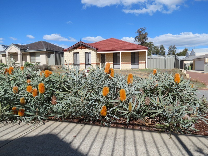 4 Wallingford Crescent, Wellard WA 6170