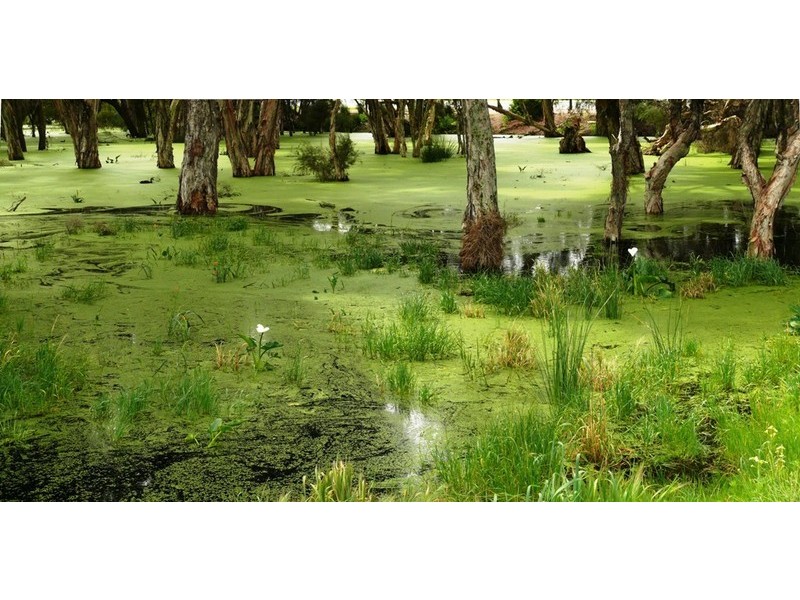 9 Gadsden Terrace, Success WA 6164