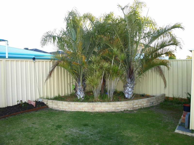 28 Longshaw Circuit, Canning Vale WA 6155