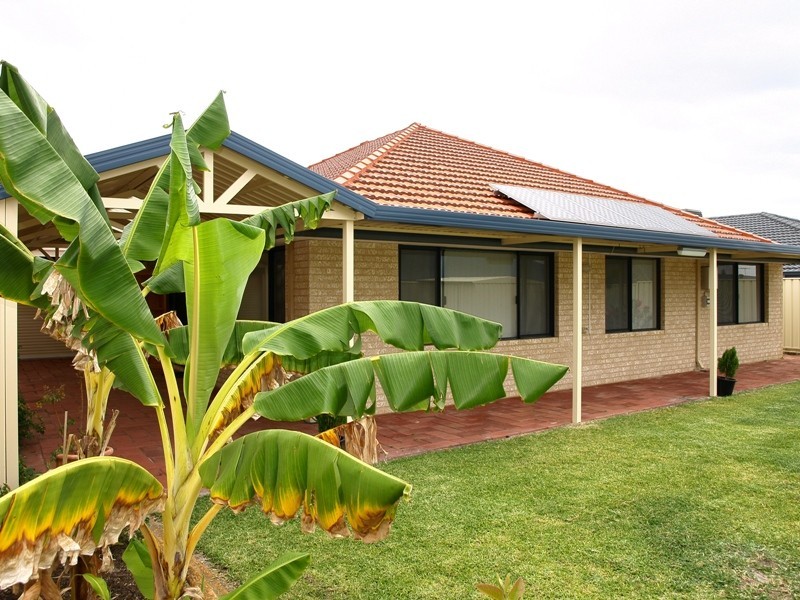 97 Shreeve Road, Canning Vale WA 6155