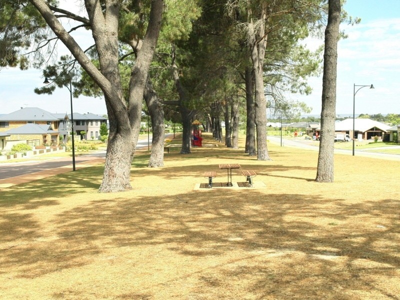 11 Zodiac Loop, Atwell WA 6164