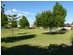 17 Gochean Avenue, Bentley WA 6102