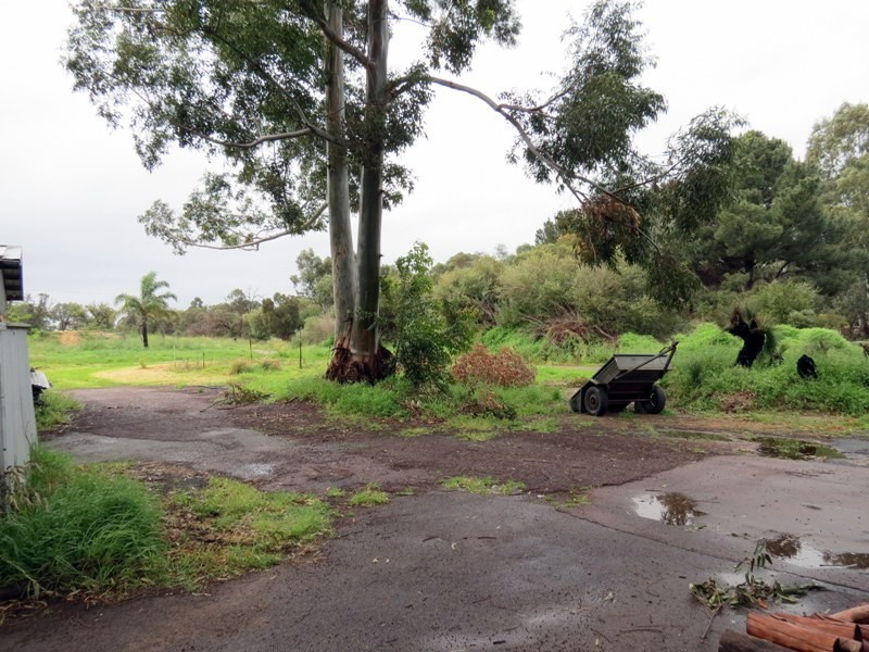 58 Muriel Court, Cockburn Central WA 6164