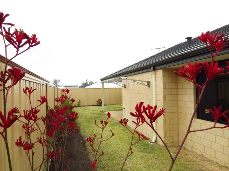 148 Price Parkway, Bertram WA 6167