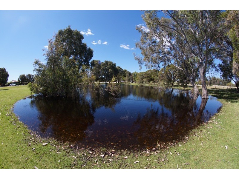 4 Lombe Gardens, Atwell WA 6164