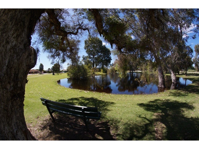 4 Lombe Gardens, Atwell WA 6164