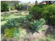 18 Daley Close, Atwell WA 6164
