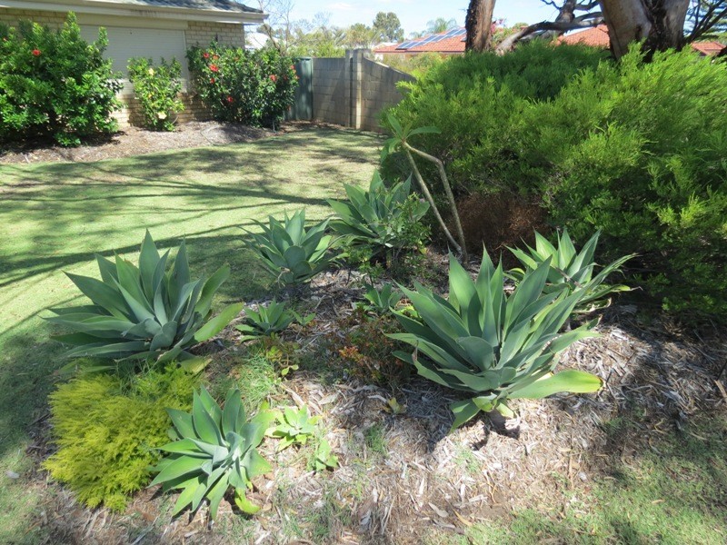 18 Daley Close, Atwell WA 6164