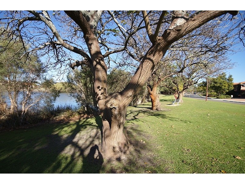 31 Pilkington Street, Canning Vale WA 6155