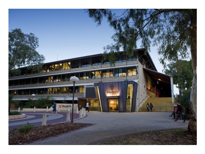 9 Crampton elbow, Murdoch WA 6150