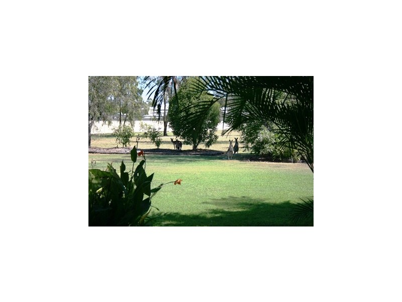 173 Opal Street, Emerald QLD 4720