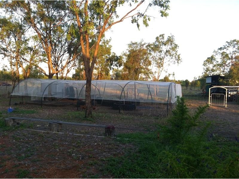 42 Hibernia Road, Capella QLD 4723