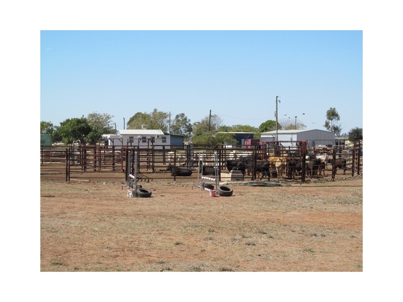 Comet QLD 4702