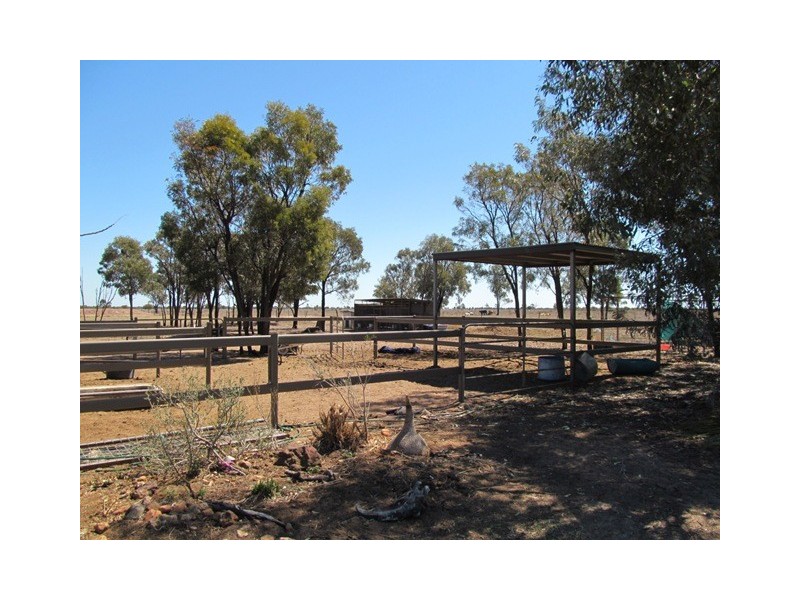 Comet QLD 4702