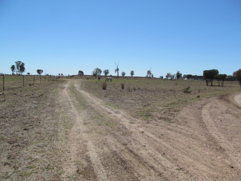 Comet QLD 4702