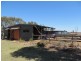 Comet QLD 4702