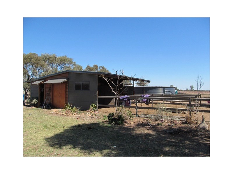 Comet QLD 4702