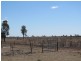 Comet QLD 4702