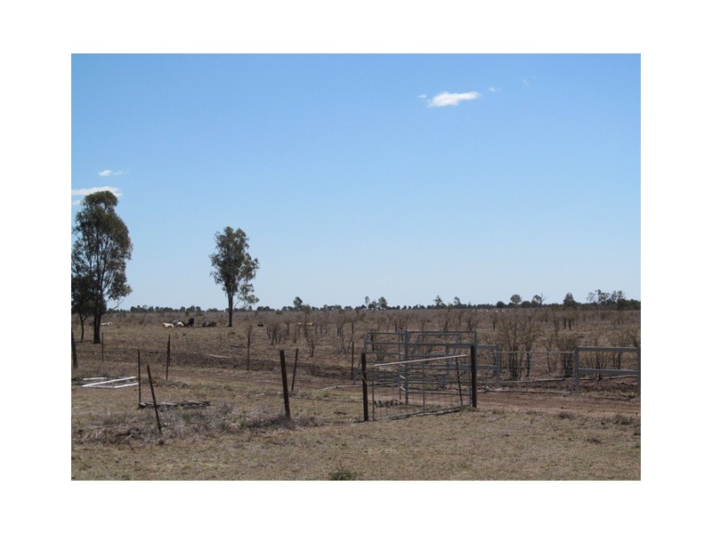 Comet QLD 4702